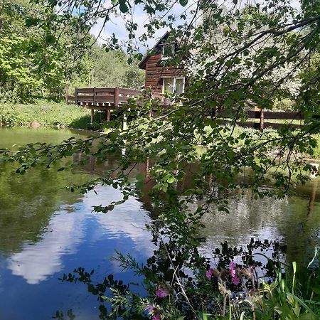 Pod Dobrym Adresem- Domek Nad Stawem Cisna Luaran gambar