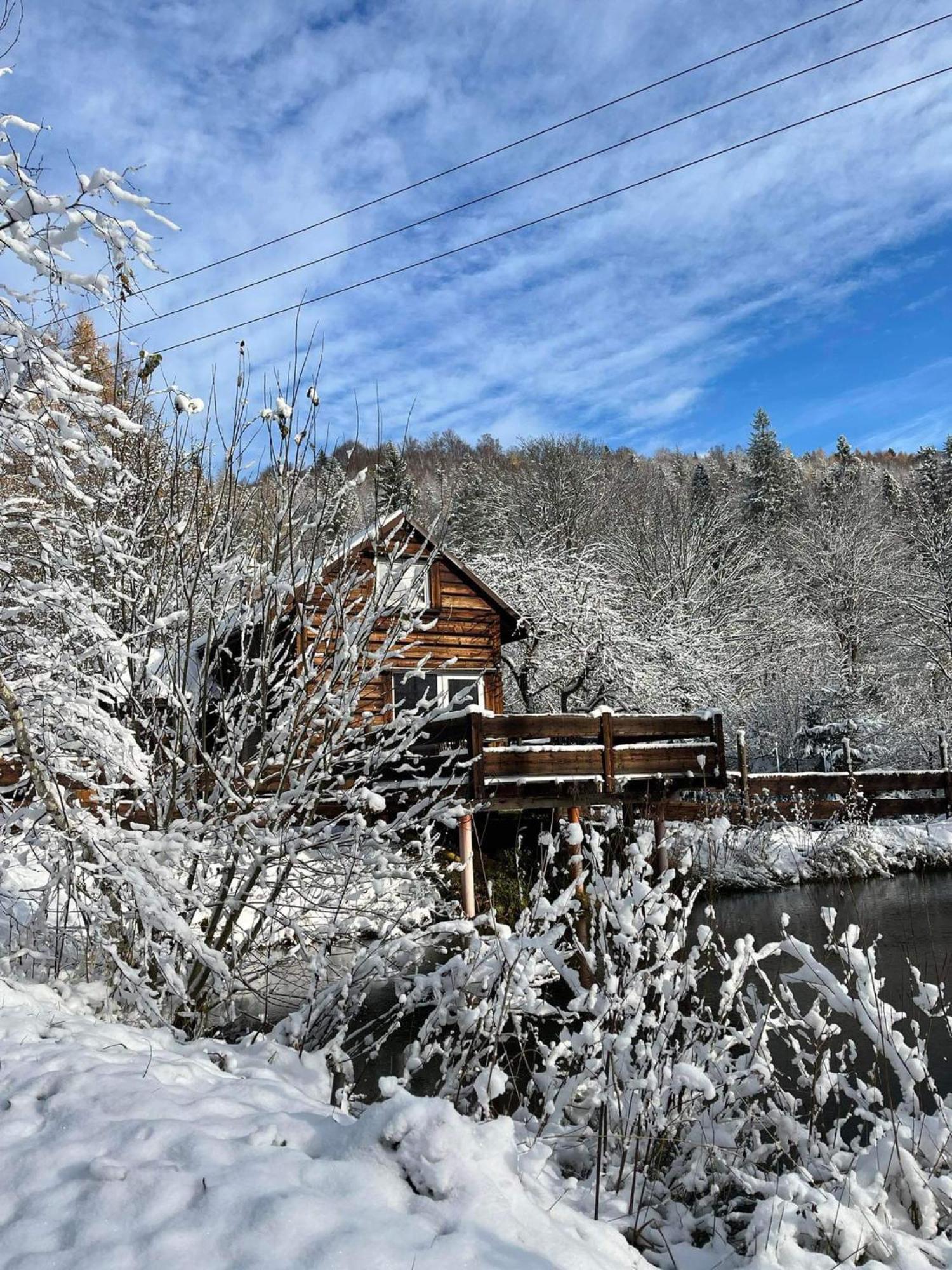Pod Dobrym Adresem- Domek Nad Stawem Cisna Luaran gambar
