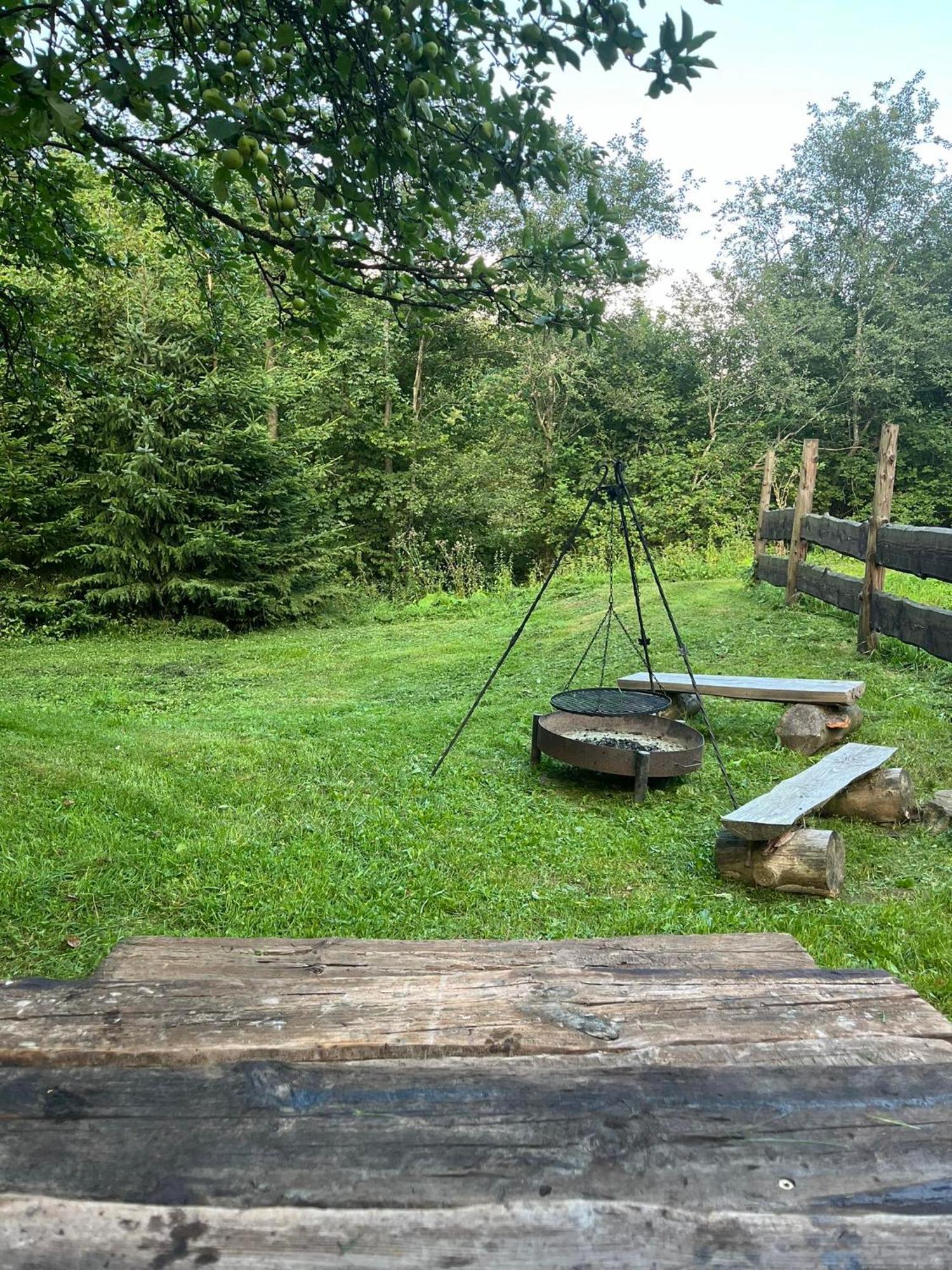 Pod Dobrym Adresem- Domek Nad Stawem Cisna Luaran gambar